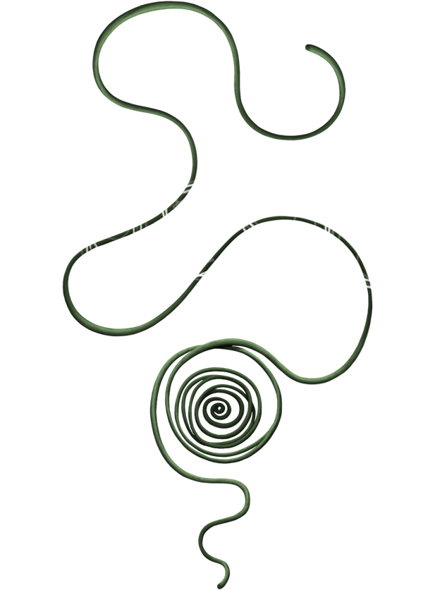 Poesis